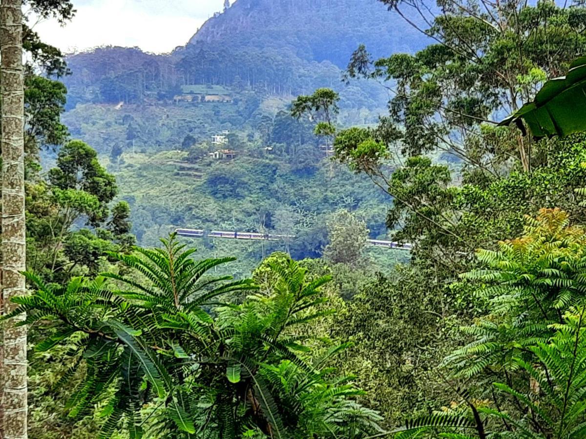 New Green View Resort Ella Bagian luar foto