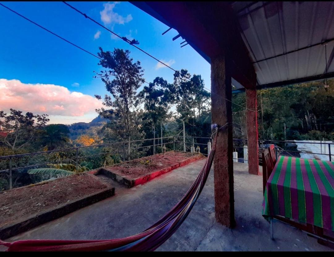New Green View Resort Ella Bagian luar foto