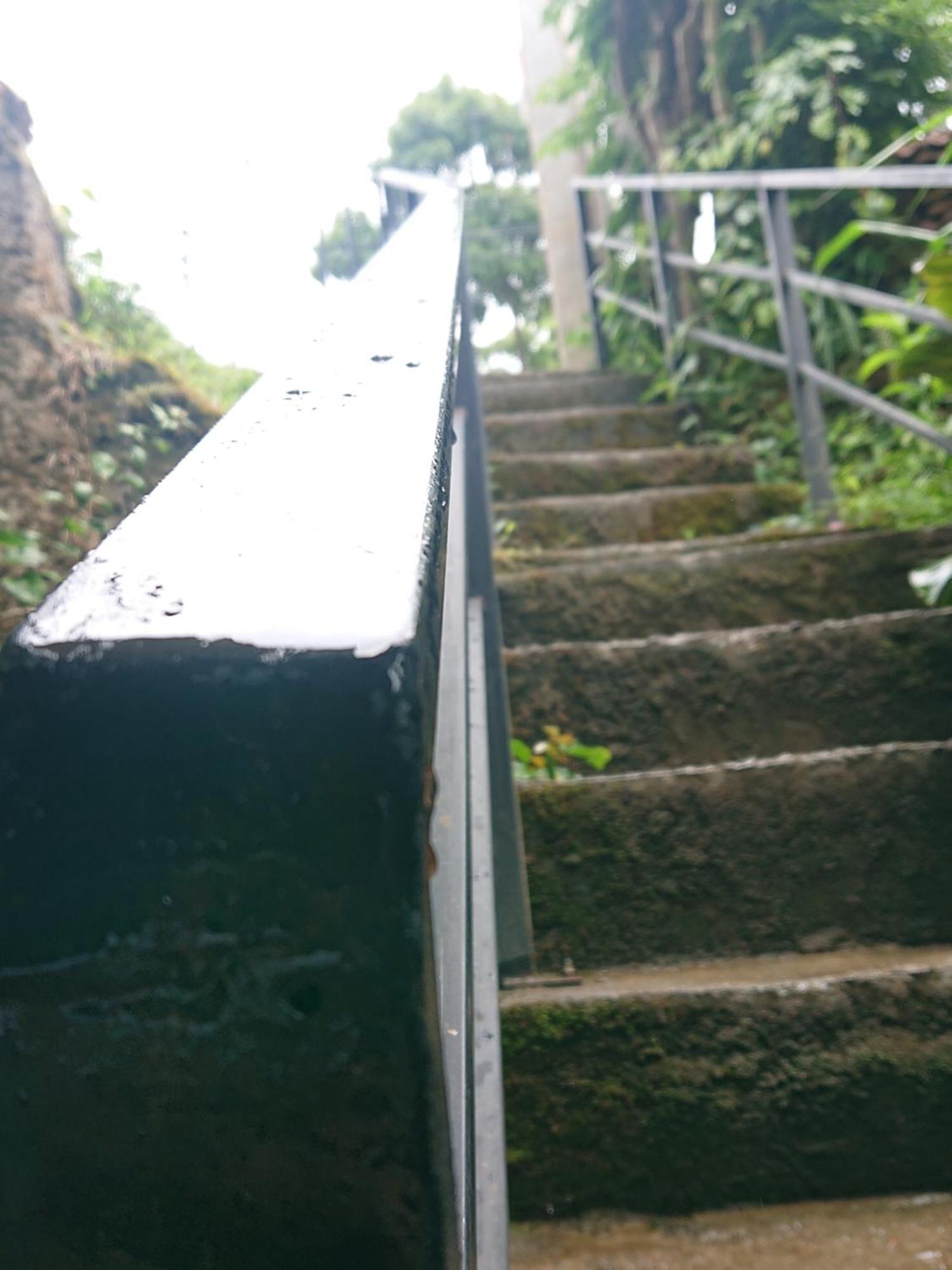 New Green View Resort Ella Bagian luar foto