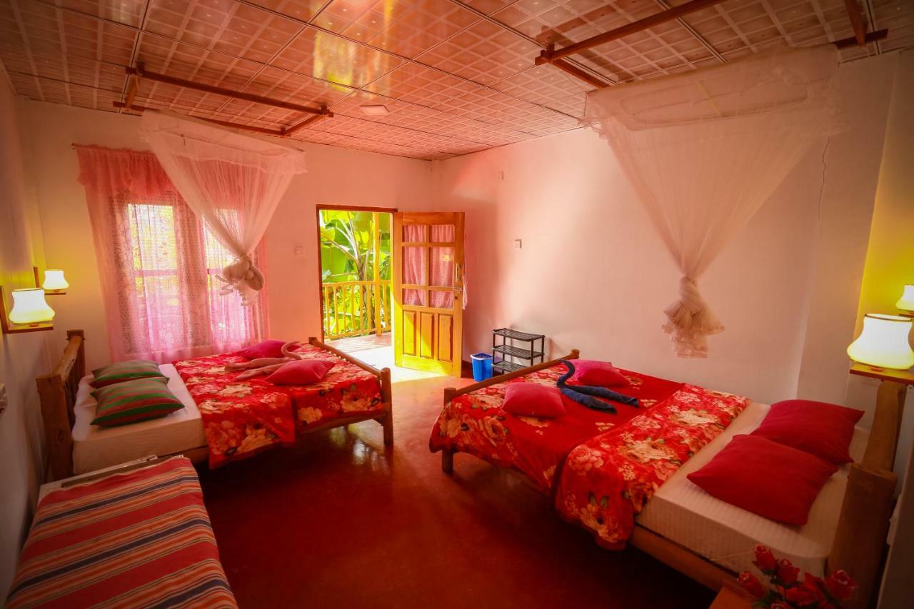 New Green View Resort Ella Bagian luar foto