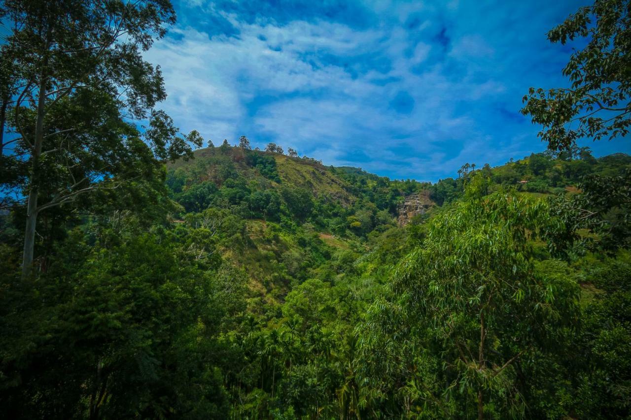 New Green View Resort Ella Bagian luar foto